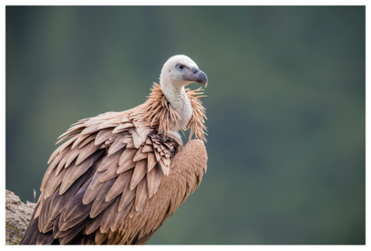 8953f78cfd104885990669c7005b2ec2