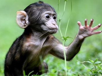 503d634012c9419690ba6253151cfe19