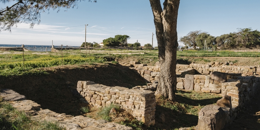 ebe560e87252449fabc5c7b102a7ab66