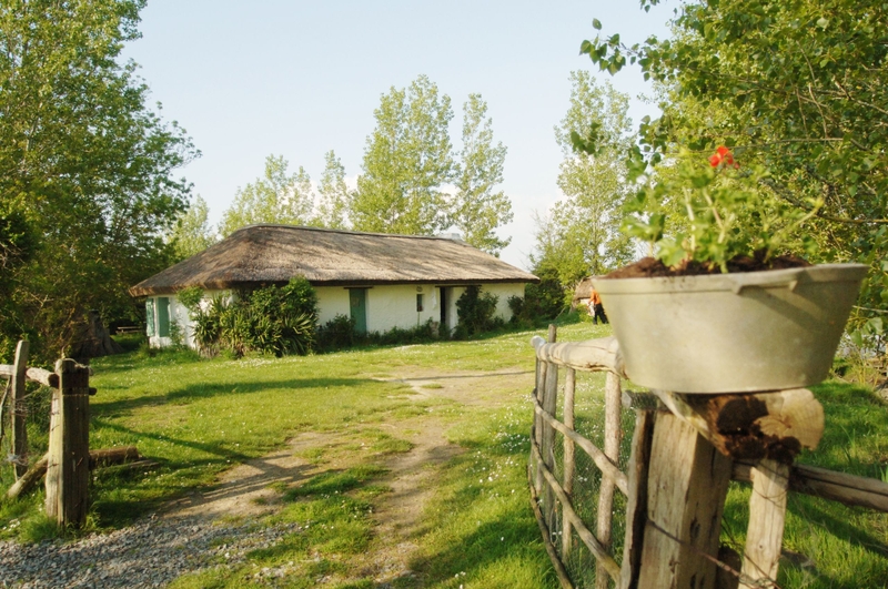 873ca0c2773b454fa562f827c0f14903