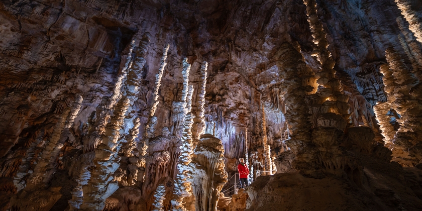 10464062986c4cd3a3469f91e6a3f0fa