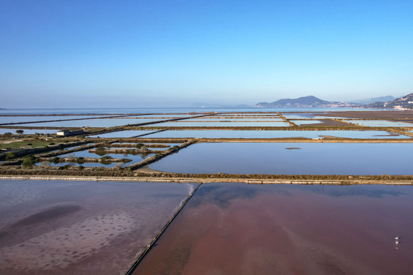 887c176b738749b880320732ee09a6ad