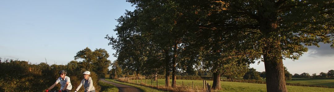 background-bourgogne