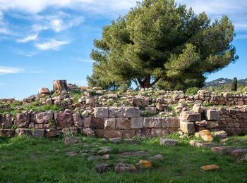 20e48a8fc6614e72bb6b33d23887f258