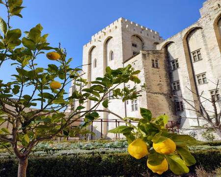 477f2dfe34d34ab8843daceefca708af