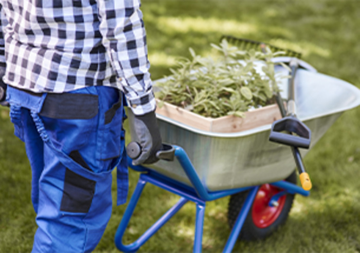 ee54e25c7a19449e991404a8613cac5c