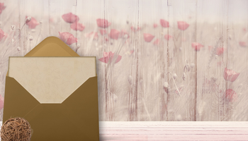 | Bourse Cartes Postales & Collections |