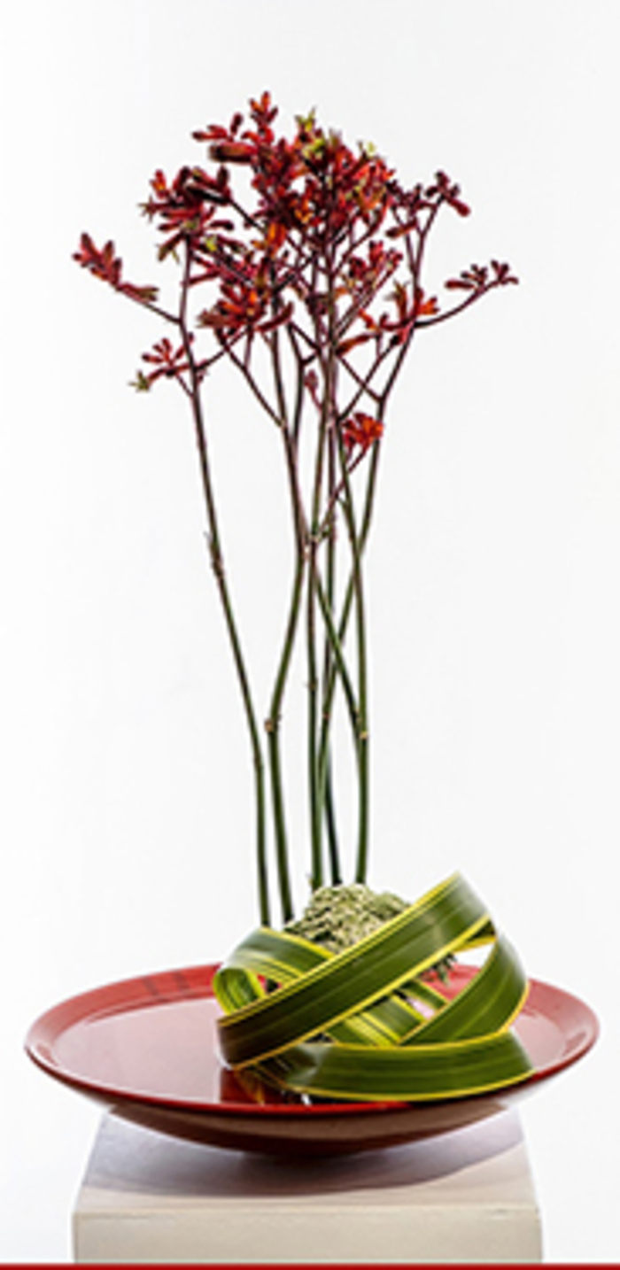 859aed4a55e5423a9d53b6a0001c1606