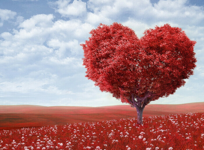 9eda4eb48b1640b79f40cd47c1988fb4