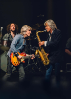 | THE DIRE STRAITS EXPERIENCE |