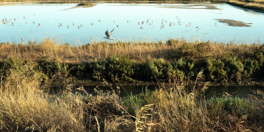 aaae97ee956444b3b875f80176374ca3