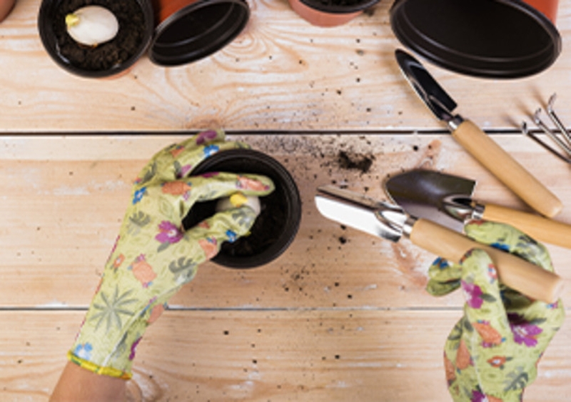 46337c33f319449eaafdb5f7de79f5b3