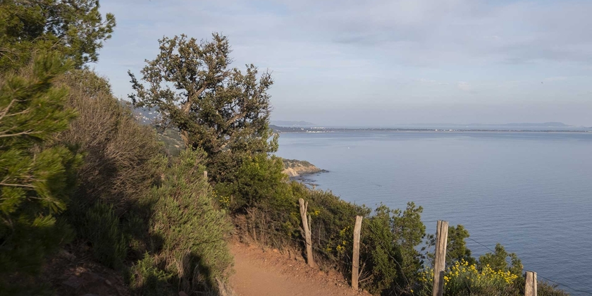 e70099acd17e4655ace4cdc3e34e85f0