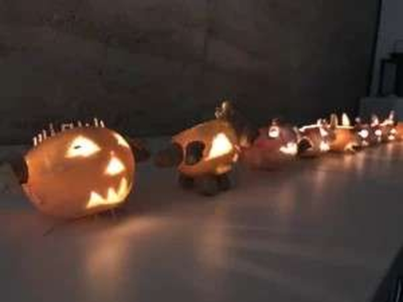 HALLOWEEN ET SES NAVETS