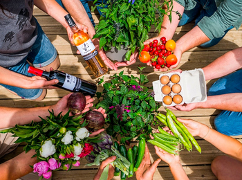 c450344edb124438be499bb37f5380ae