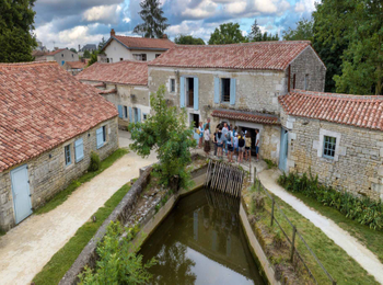 c6f917bc6c484a9fae514d818df821d9