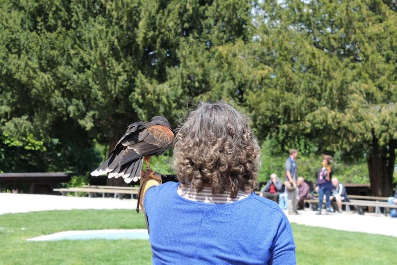Halloween à la Volerie des aigles