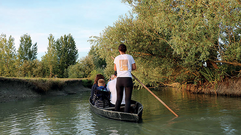 91b681af085d414389056aea9031fa3f