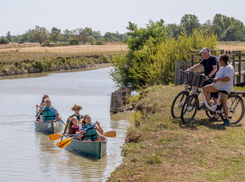 7a34e3df297446e99af9f7a977ee931b