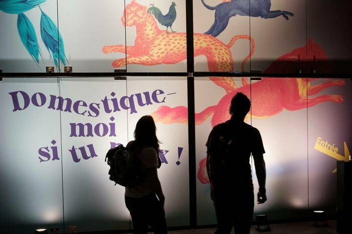 49b3b88d2d4e47e2b5b7d463bd6505bb