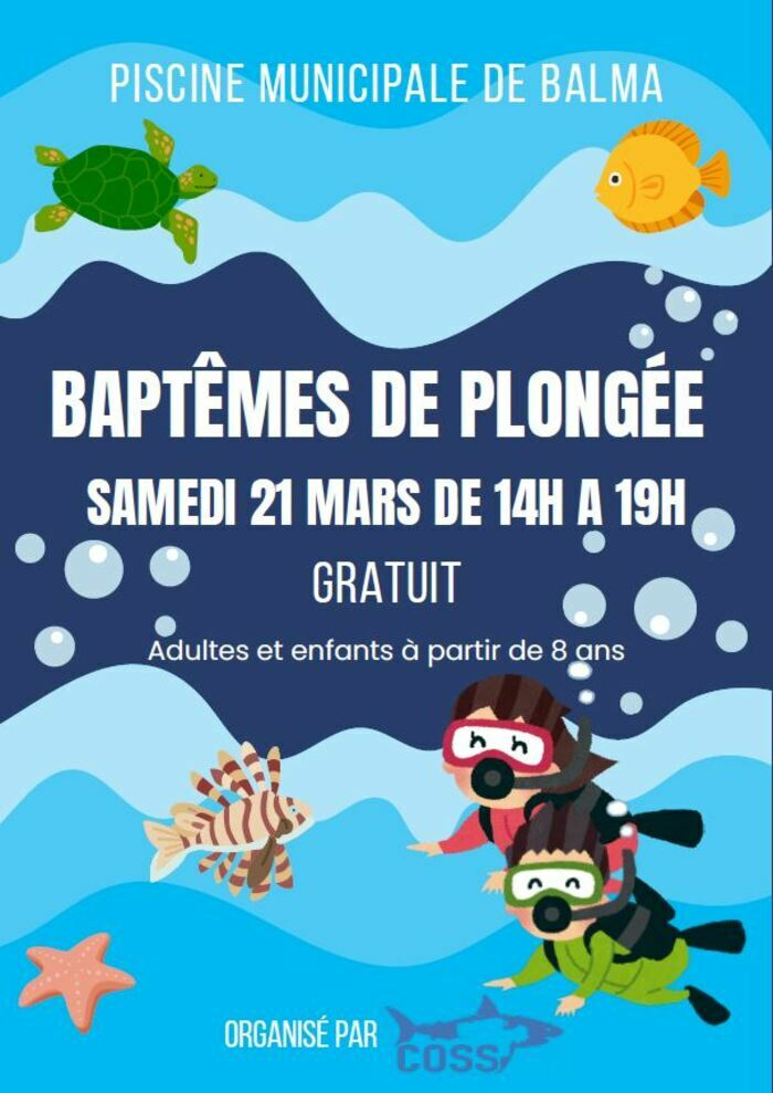 17bdc20e3428491f886bc7adfeb6fcc8