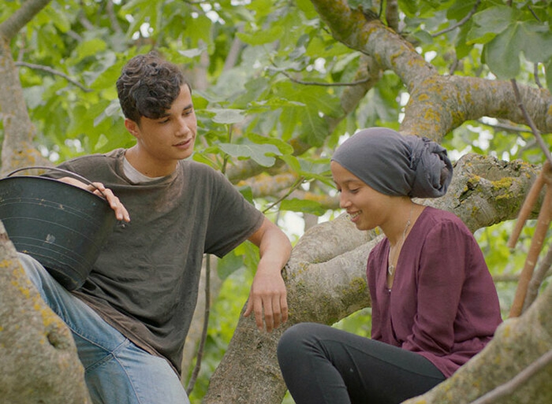 caa106541ff74810889f9f1c90784047