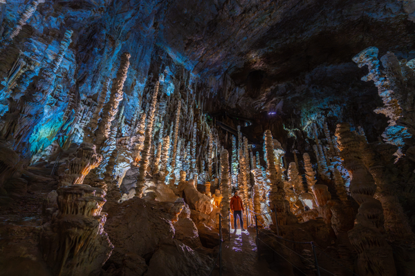 f0a2e38be9224357a3654c5a0c4507e0