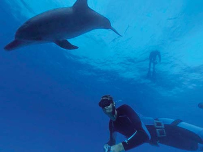 ff69daa4c76a4b57bfd707281dd26033