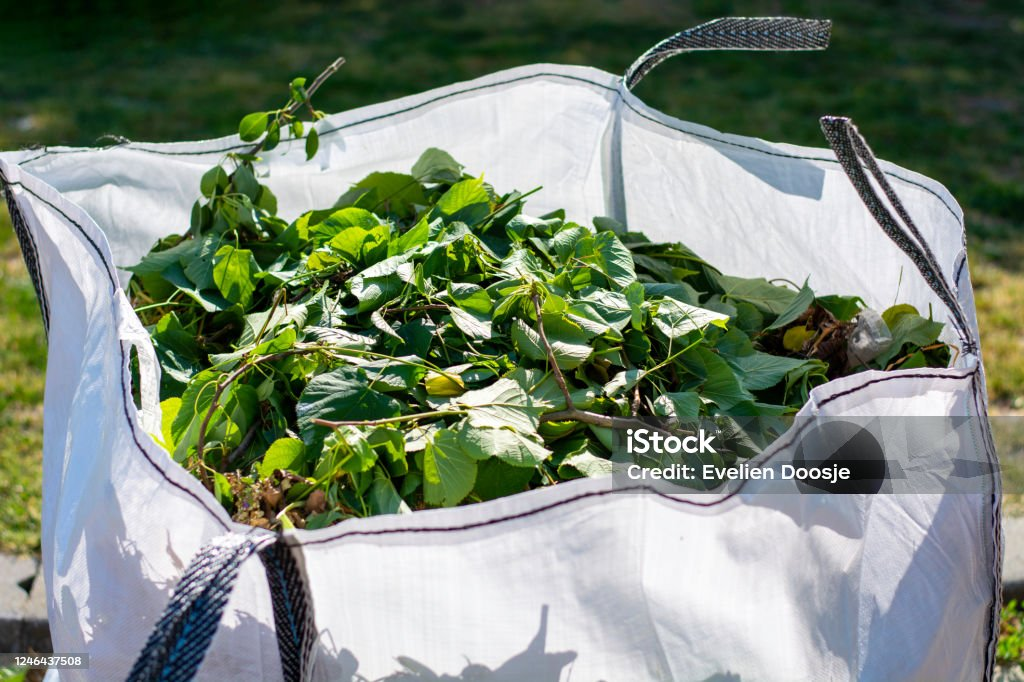 624febef7ef641ada8648bba016ef9d9