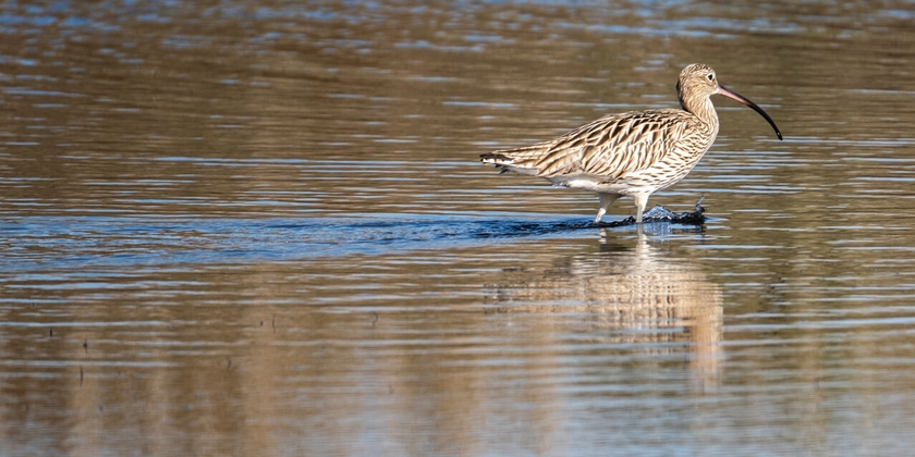 747fa8059d2a407fb37c0885c1c75ffb