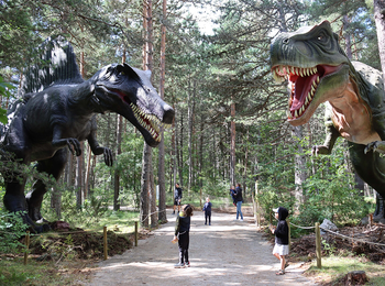 4a54419b528447ca89d0594665728555