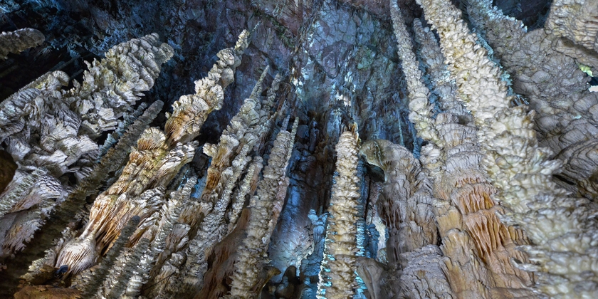 6ce65d6752f142448ff011be047a3951