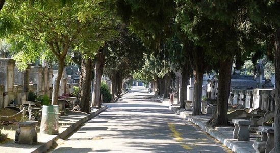 Visite guidée -  Le cimetière St Véran d'Avignon