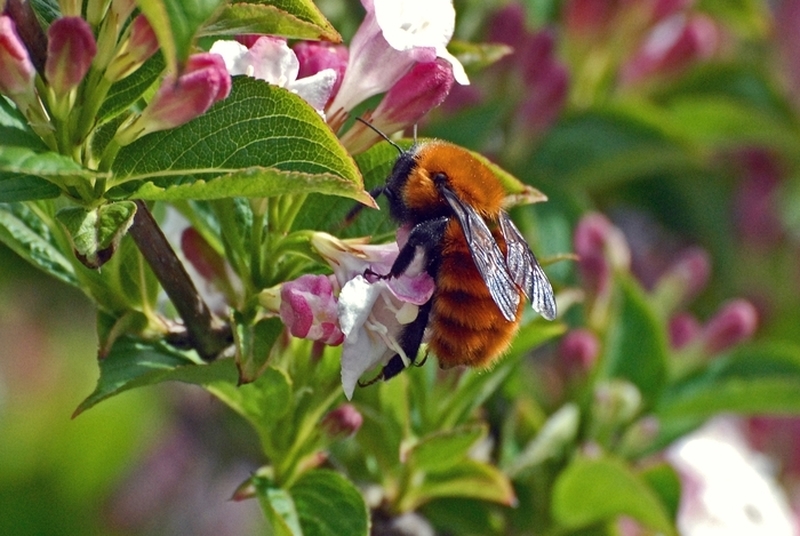 a490ae5c2fac43828a923887f0093fe7