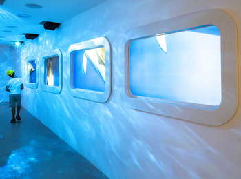 8294a946f7d543b0ba89ef5ab1b0e373