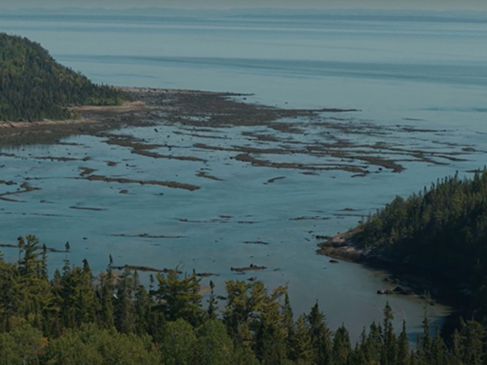 ff7ff72274c745eda0d277dc3584b4eb