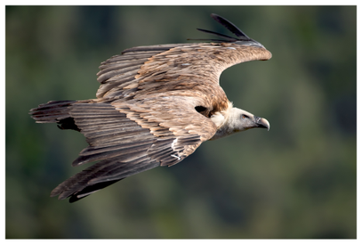 8a5eada47b5642d2a7373d05516c506a