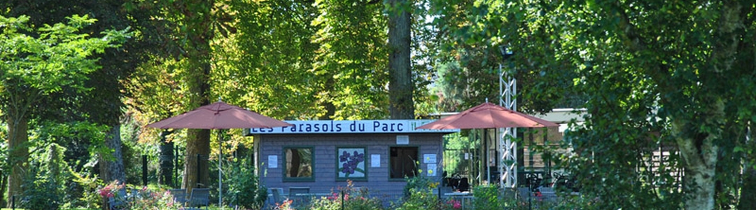 background-tours