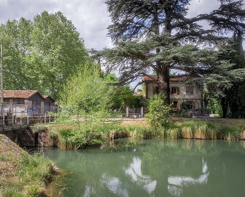 UN DIMANCHE, UN QUARTIER : AMIDONNIERS
