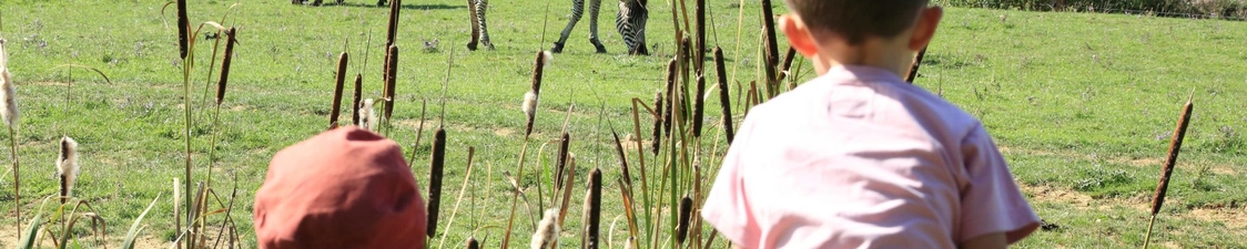 Animaux et nature