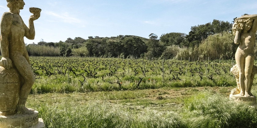 bb0fdad31192439097c0c7177695f70f