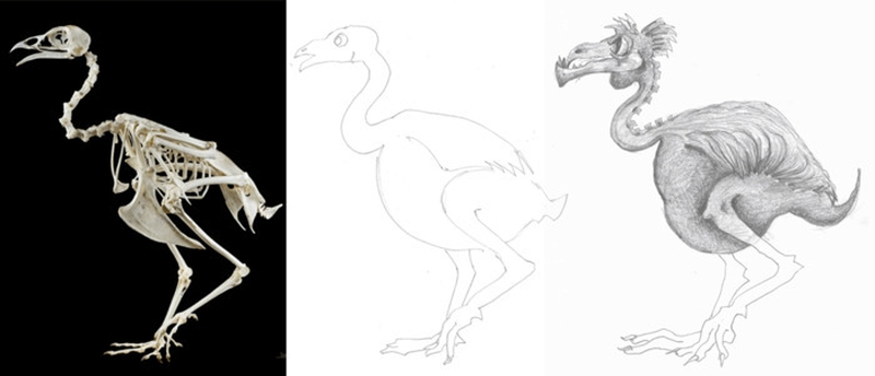 d656f940aaa24f87b5c6df46e86ecac7