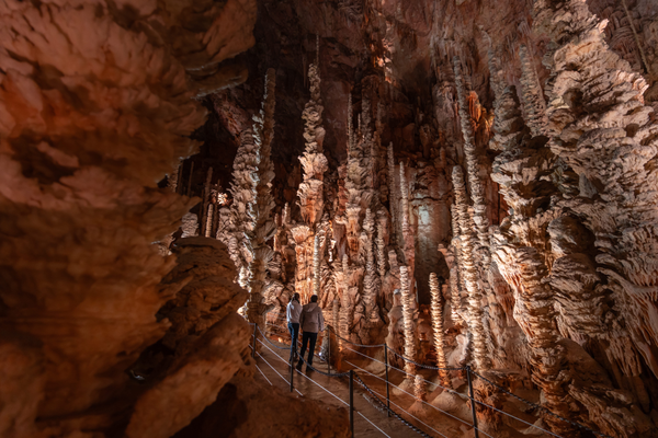 3aad2c372e4e4630a285510e46a64b33