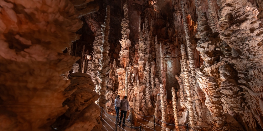 6f3ab0fe6405464d84c46b5262633741