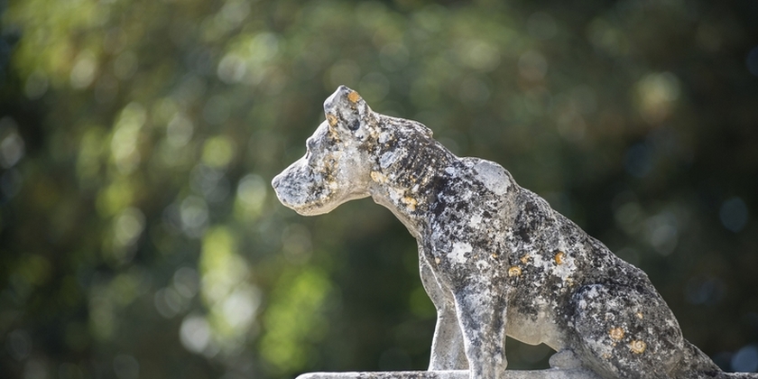 721aed33fa0b4a649d9c92f9e278247d