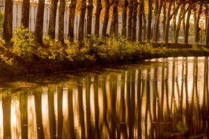 | Perspectives au fil de l'eau : le Canal du Midi |