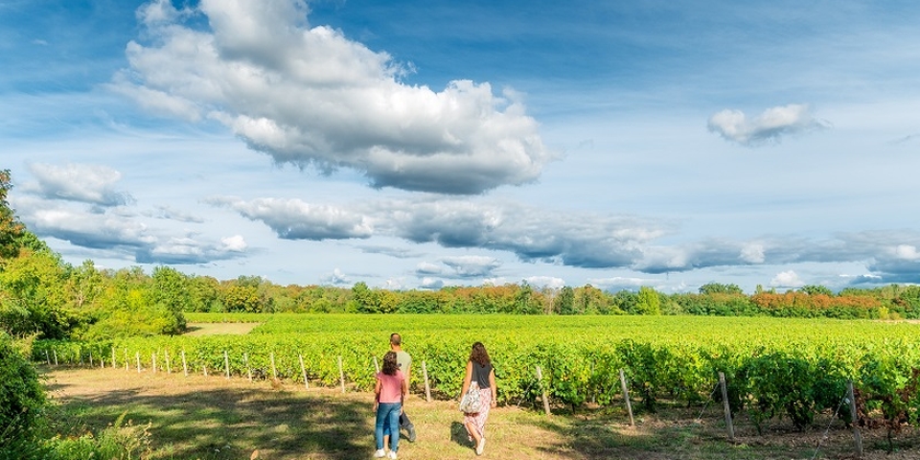 7c9b400ff6de45019095cefde39fe767