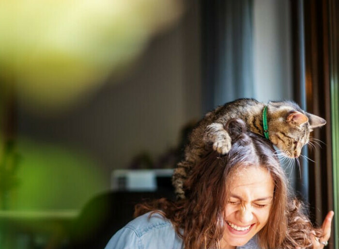 1a0dfd2c12e149e19e4ba3cf78ceaa5e