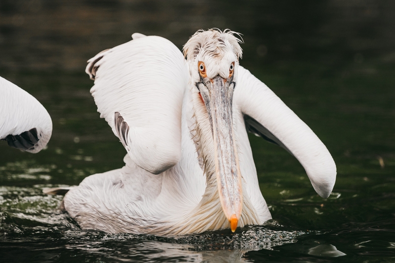 2d3e0c16c560408ca231f95efcd600be