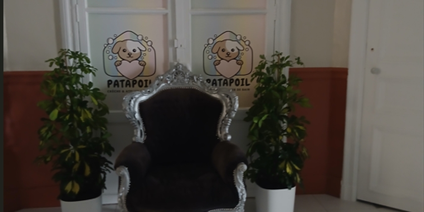 PATAPOIL la crèche de votre chien à Sète